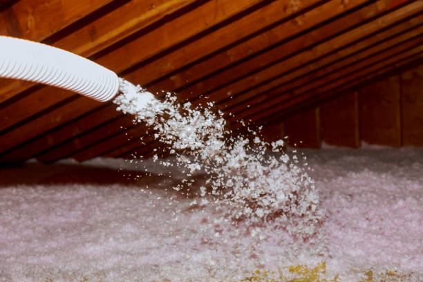 Best Residential Insulation in Mount Pleasant, TN