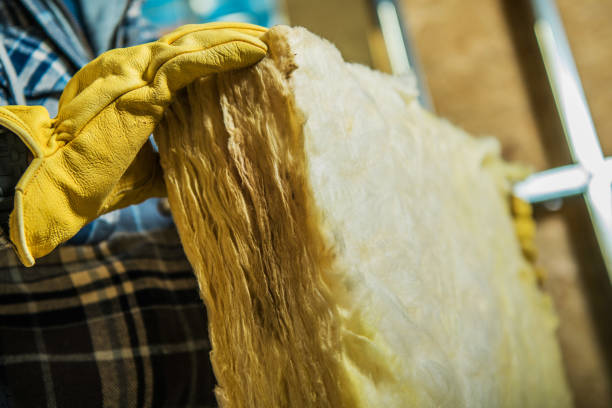 Best Insulation Maintenance and Repair in Mount Pleasant, TN